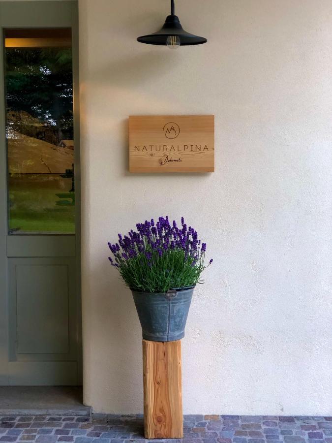 Loft Naturalpina Dolomiti Farm Belluno Exterior foto